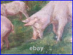 Ancien Tableau Cochons au Pré Peinture Huile Antique Oil Painting Ölgemälde
