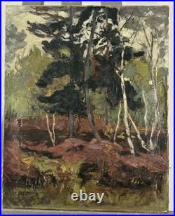 Ancienne huile sur toile signée paysage fauviste début XXe fauve fauvisme