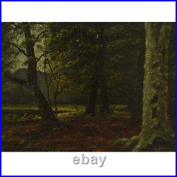 Environ 1900 Peinture ancienne à l'huile sur toile paysage forestier 62x47 cm