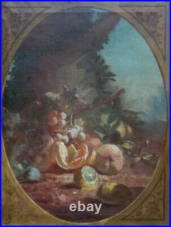 GRANDE & MAGNIFIQUE TOILE XVIIe XVIIIe. RARE & LUMINEUSE COMPOSITION DE FRUITS