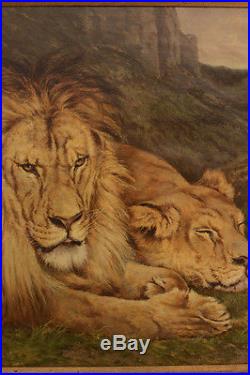 Grand Tableau Orientaliste Couple De Lions Paysage Félin 1901 Zoo Signé Vezien
