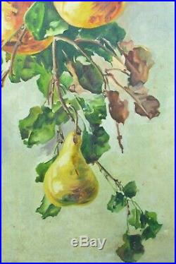 Grand tableau ancien Nature morte aux poires Fruits Orientaliste Constantine