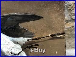 Huile Sur Toile XIX ème Oiseau Nature Morte HST Antique French Painting Bird