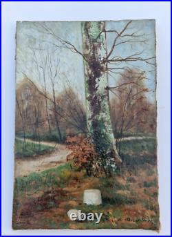 Huile sur toile 5P XIX paysage de forêt XIX arbre bouleau signé tableau ancien Huile sur toile 5P XIX paysage de forêt XIX arbre bouleau signé tableau ancien