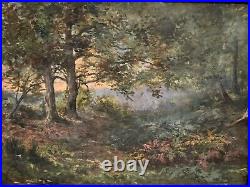 Huile sur toile paysage de sous-bois par Charrrier début XXe L6573