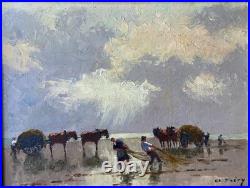 Olivier Sery, les goémoniers, en Bretagne en Normandie