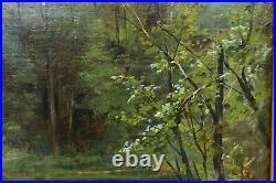 Paul BIVA (1851-1900). Etang aux nénuphars 2, pêche, impressionnisme, nymphea