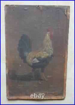 Peinture animalière ancienne, huile sur toile, coq, XIXème siècle