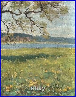 Sunny Landscape Scenariy Boat Trees Nature Sky, Impressionism, Antique Oil Sunny Landscape Scenariy Boat Trees Nature Sky, Impressionism, Antique Oil